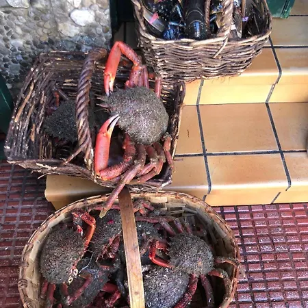 펜션 Tazones Ocean Views